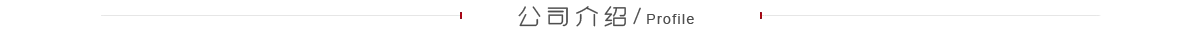 公司簡(jiǎn)介